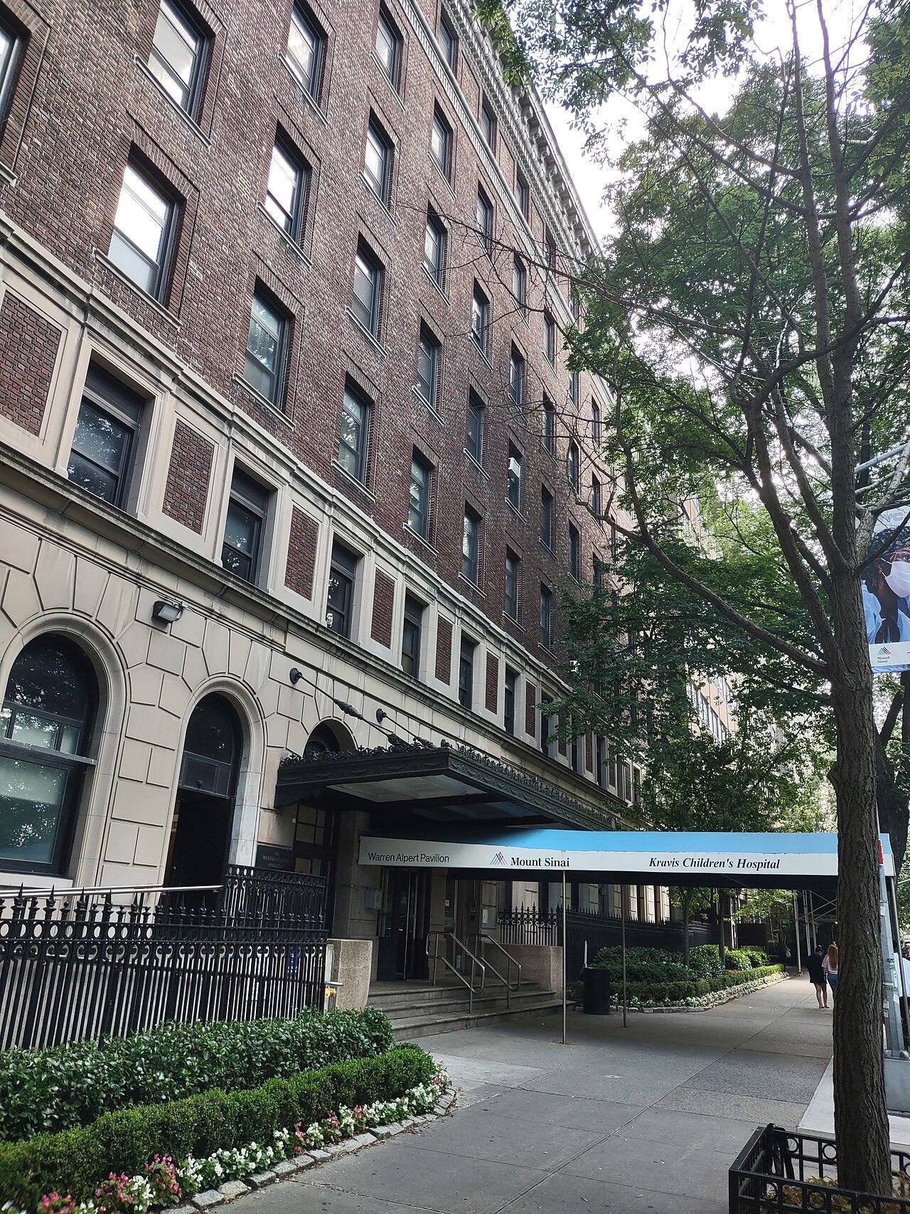 Kravis Children's Hospital (children's hospital in New York City)